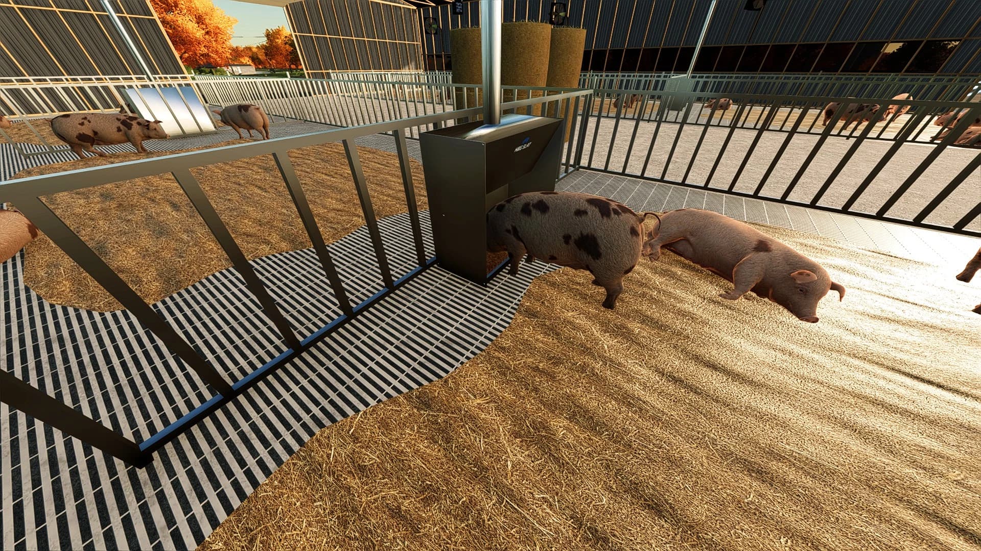 HOG SHED