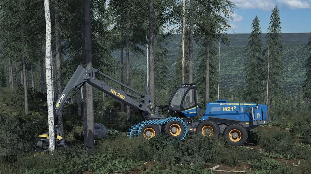 HOLMÅKRA 22 5