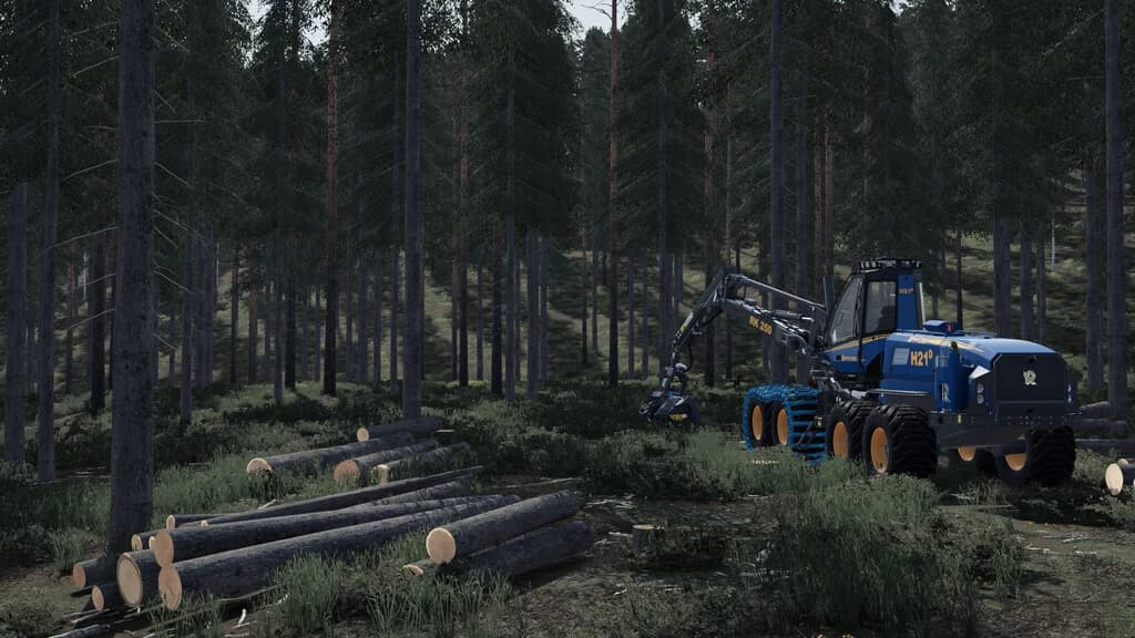 HOLMÅKRA 22 4