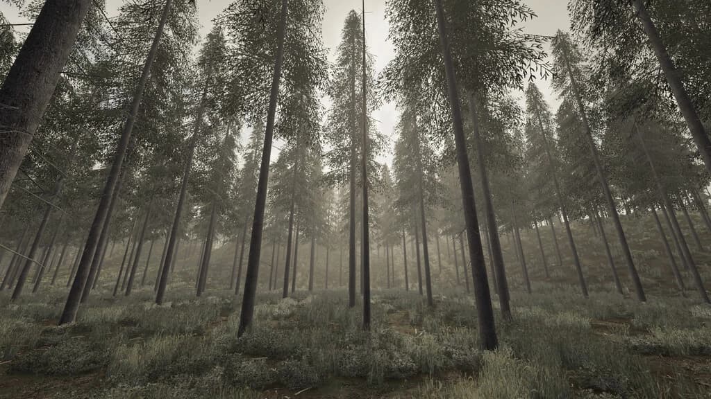 HOLMÅKRA 22 3