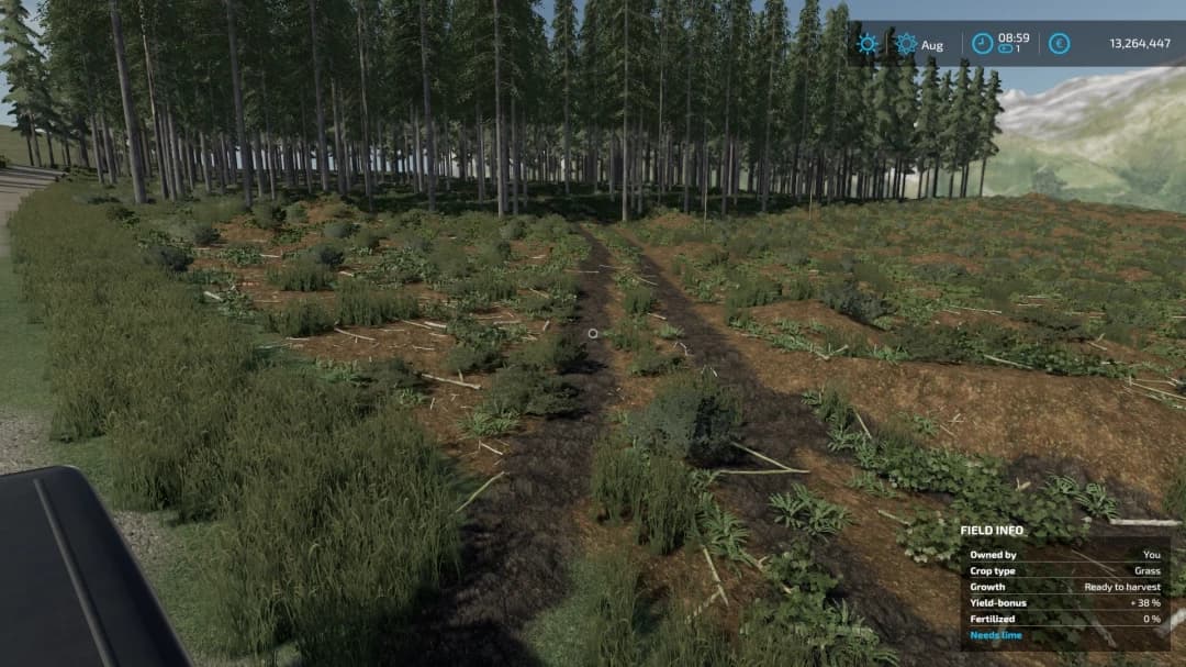 HOLMÅKRA FOREST EDITION 2