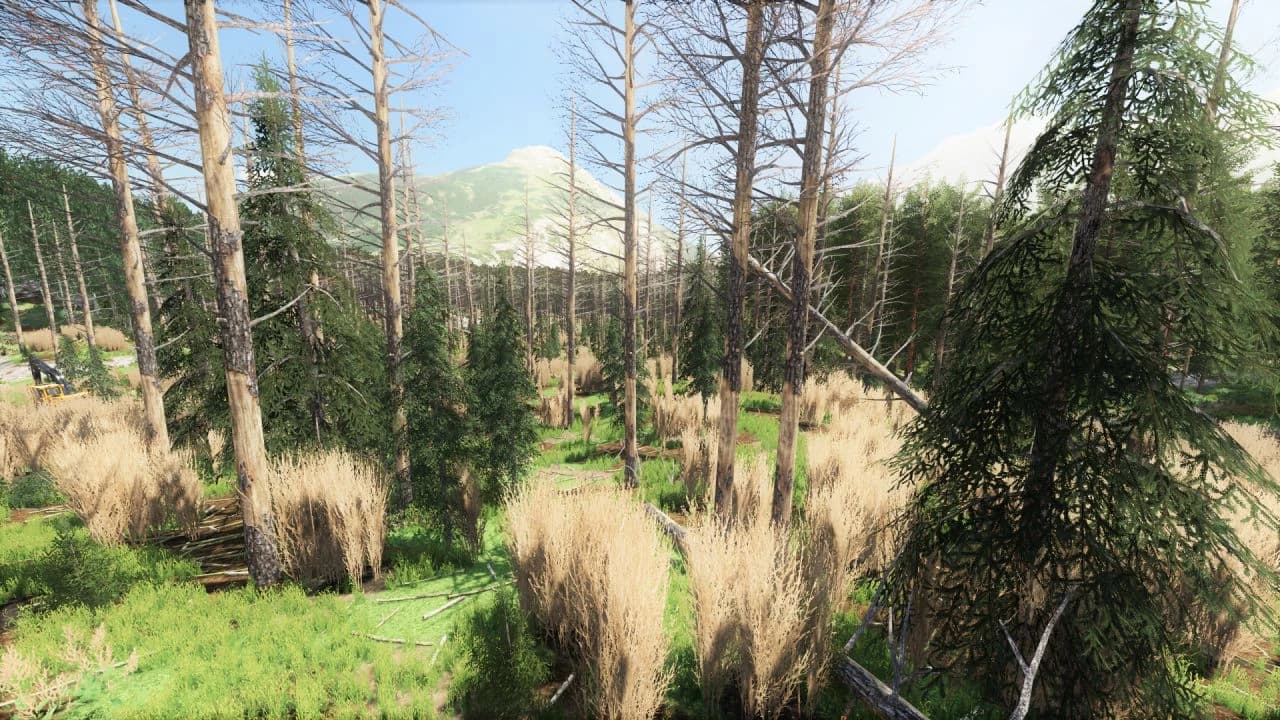 HOPE VALLEY BETA