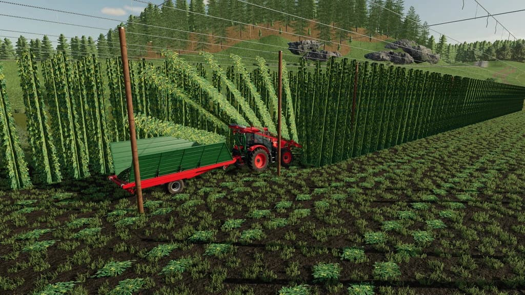 HOPS EQUIPMENT 4