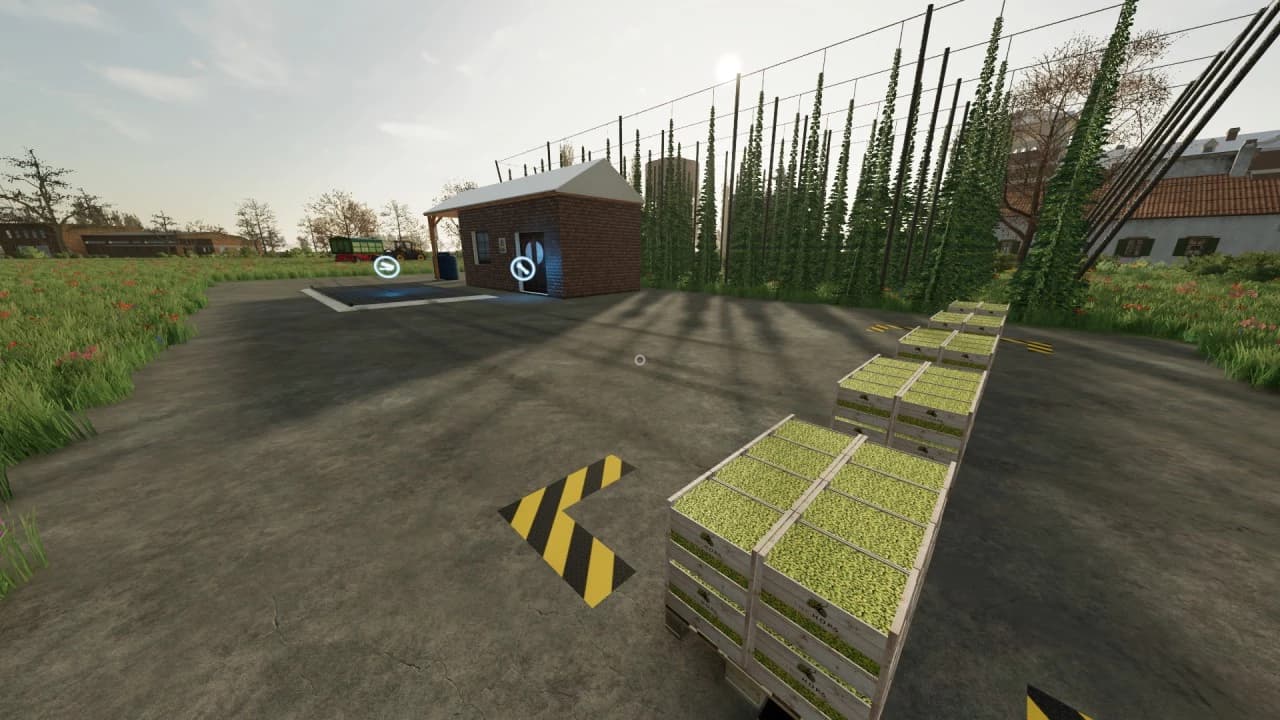 HOPS PRODUCTION 2
