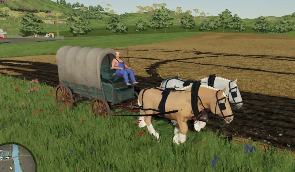 HORSE CARRIAGE AND FORTCART 2