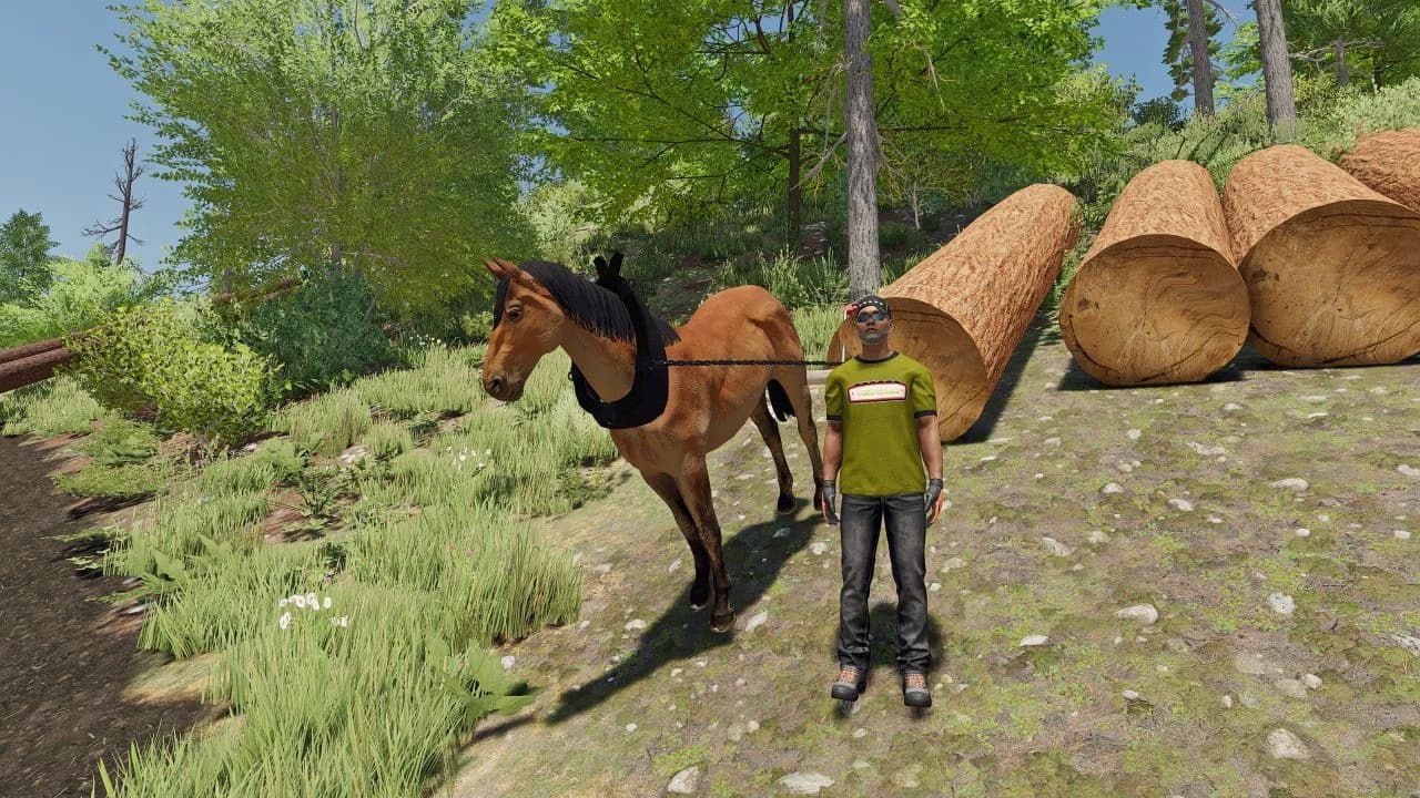 HORSE FOR FORESTRY 2