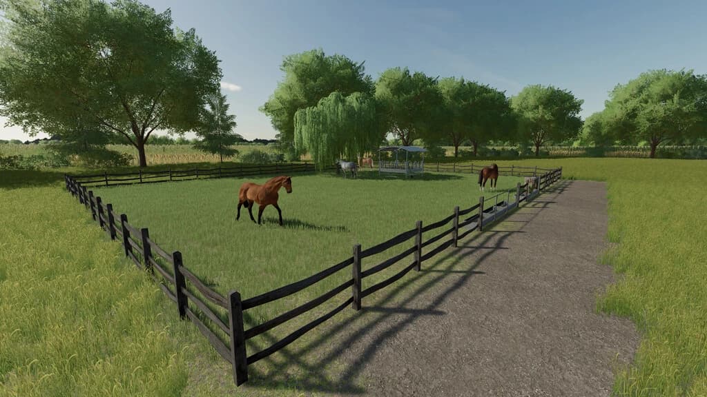 HORSE PASTURE 3