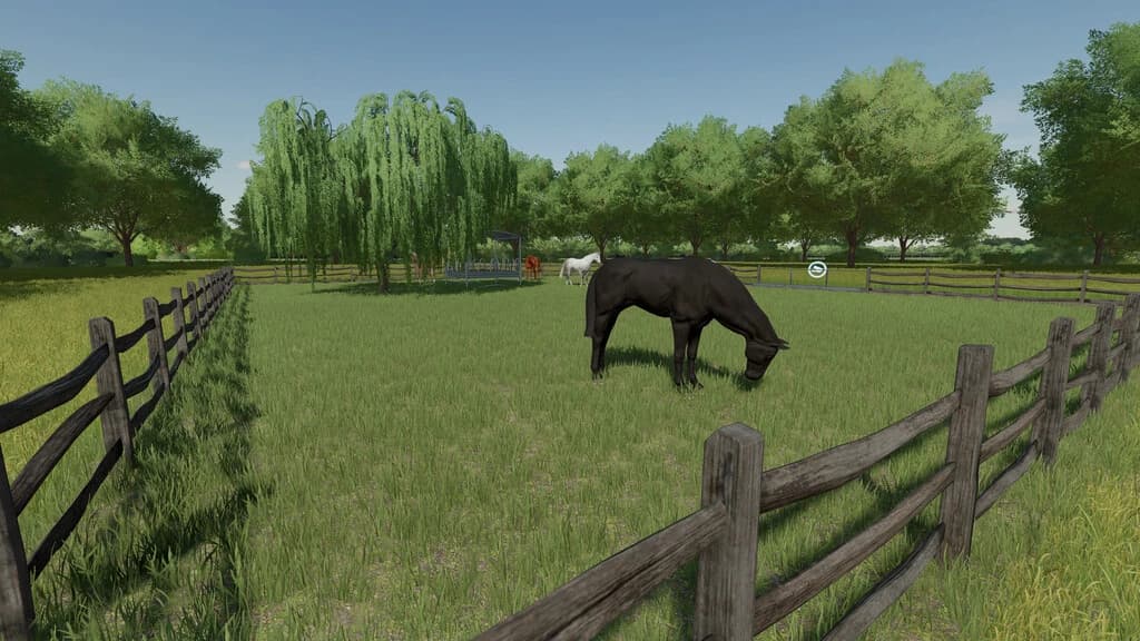 HORSE PASTURE