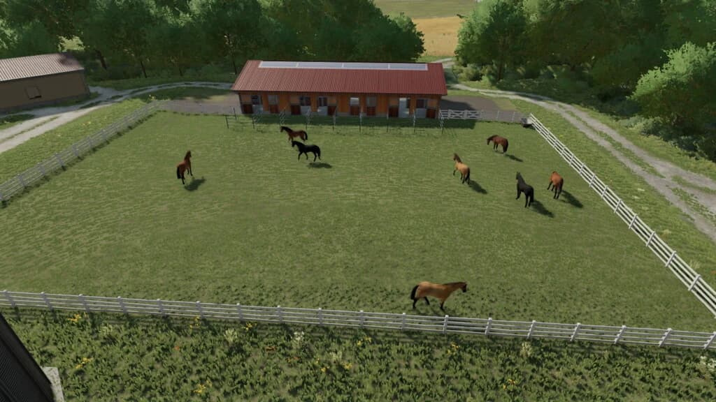 HORSE STABLE WITH PADDOCKS 5
