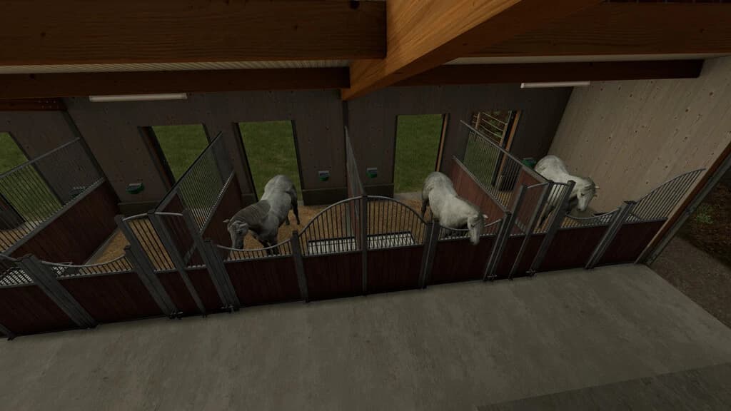 HORSE TRAINING FACILITY 5