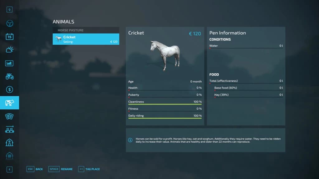 HORSEMAN 5