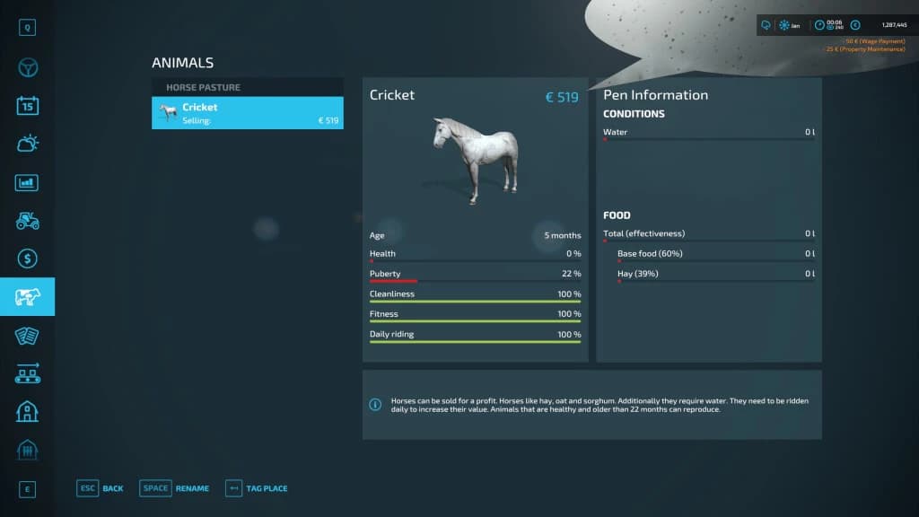 HORSEMAN 3