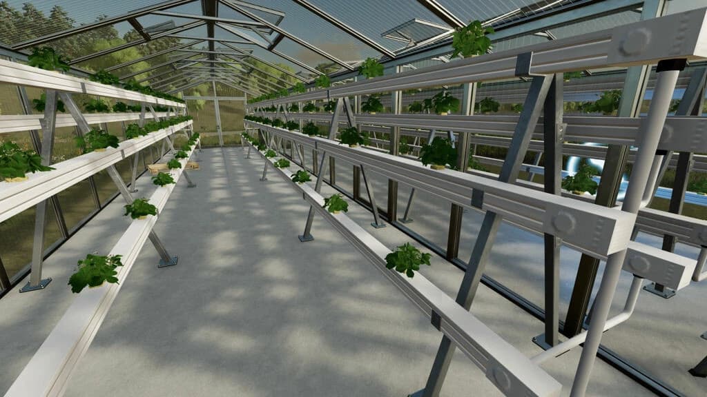 HYDROPONICS GREENHOUSE 5