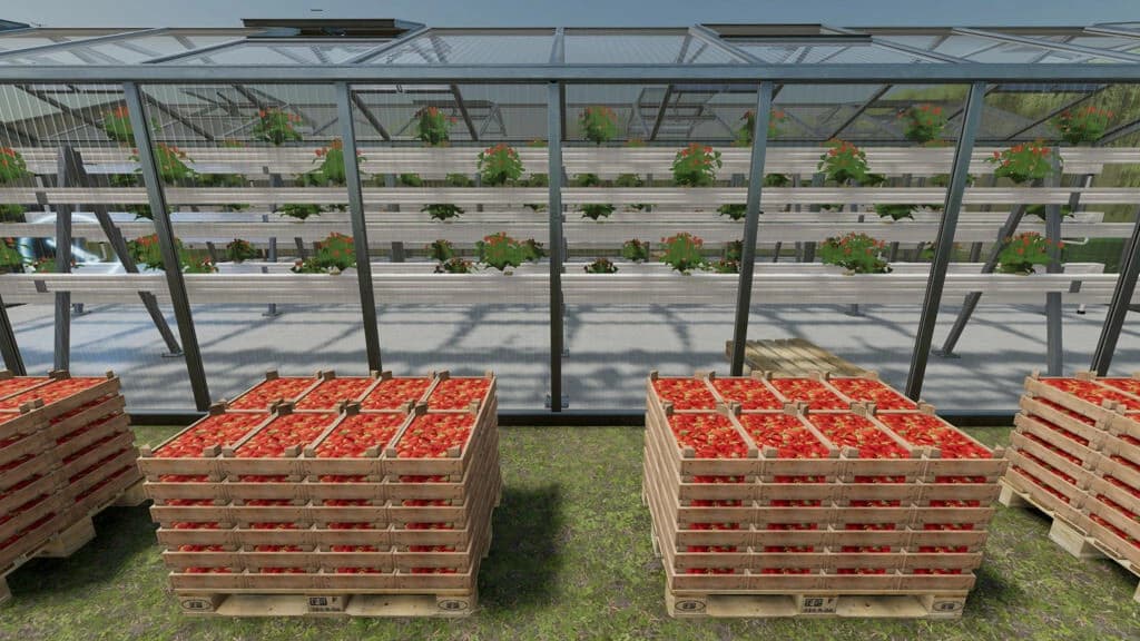 HYDROPONICS GREENHOUSE 2