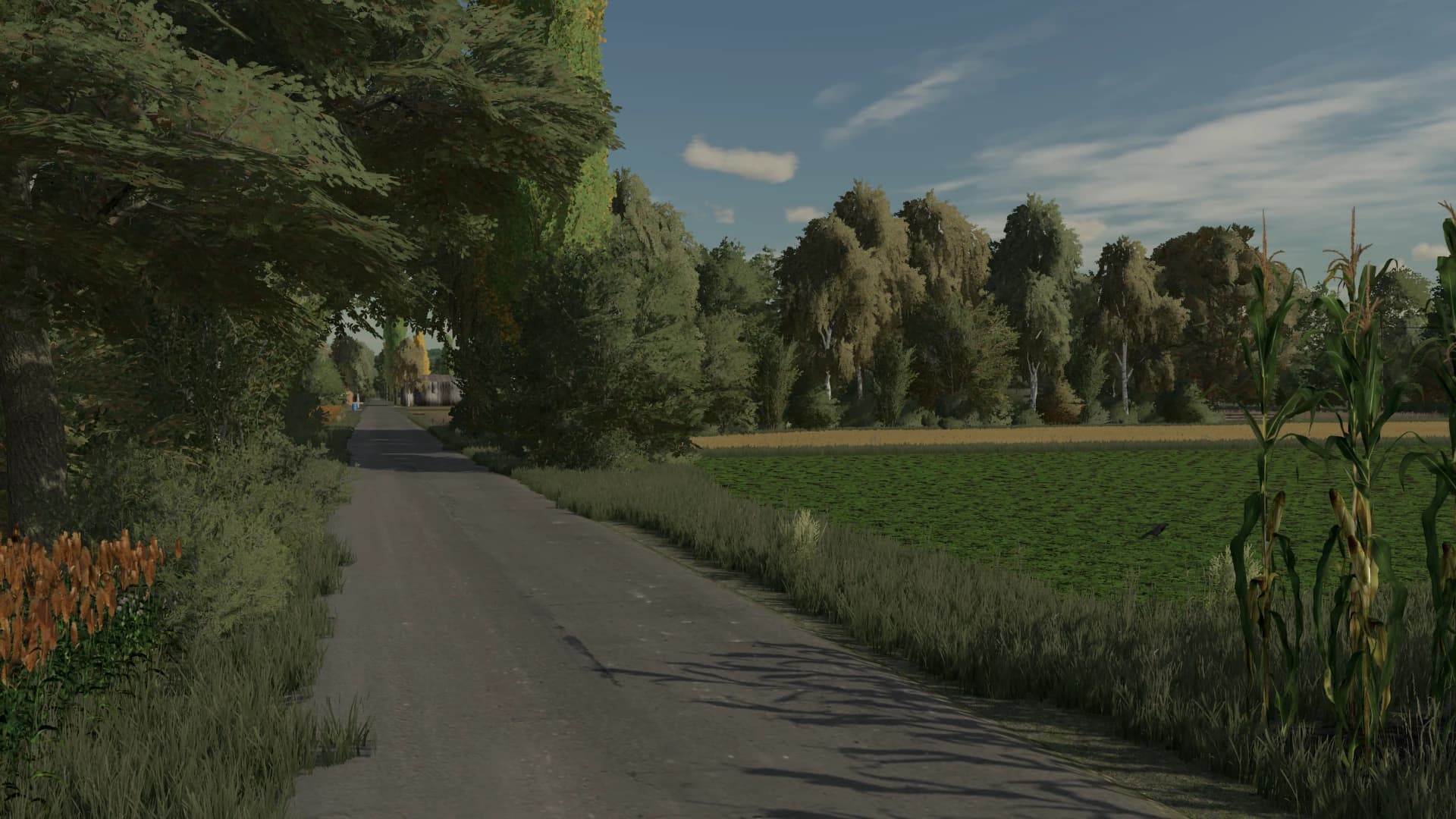 Homestead Economy PC 5