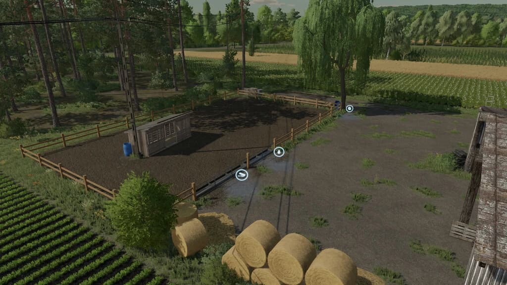 Homestead Economy 6