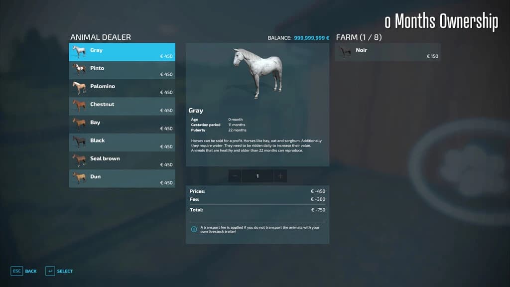 Horse Resell Value 5