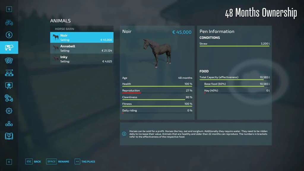 Horse Resell Value 4