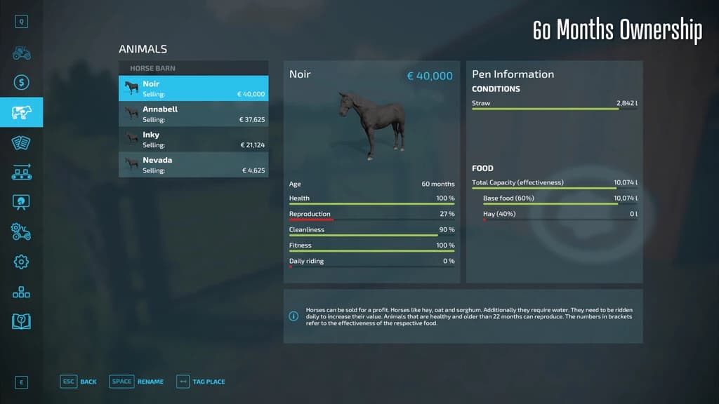 Horse Resell Value 3