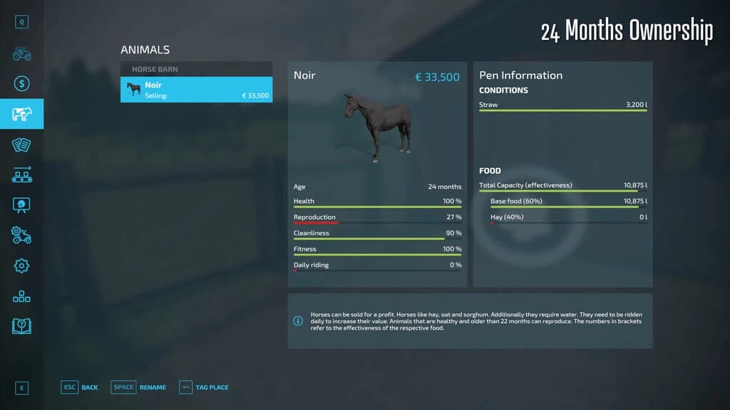 Horse Resell Value 2