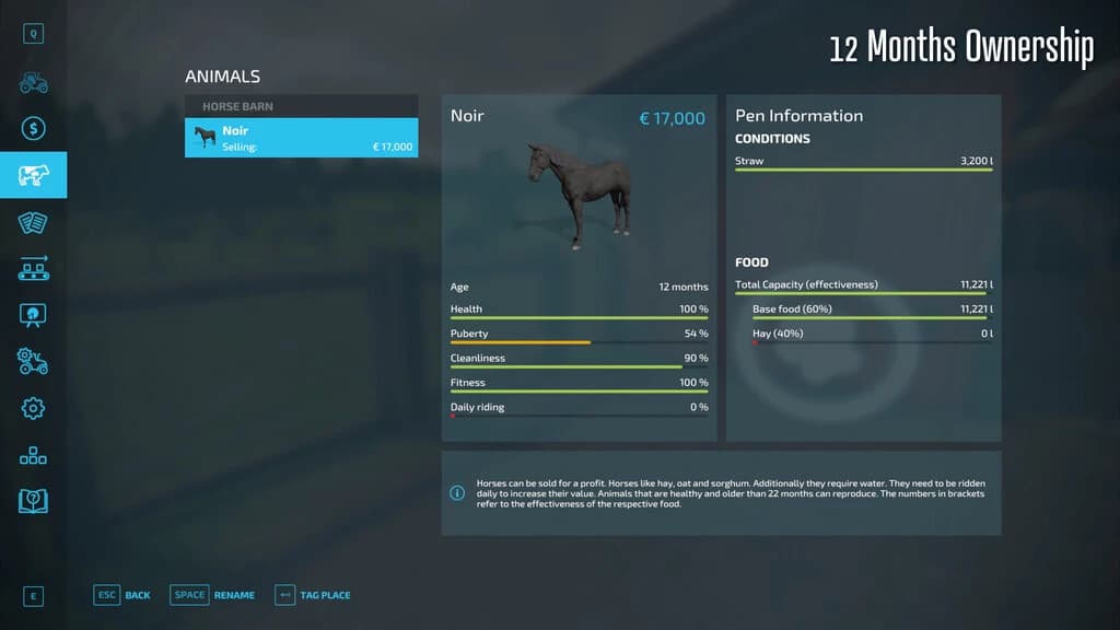 Horse Resell Value