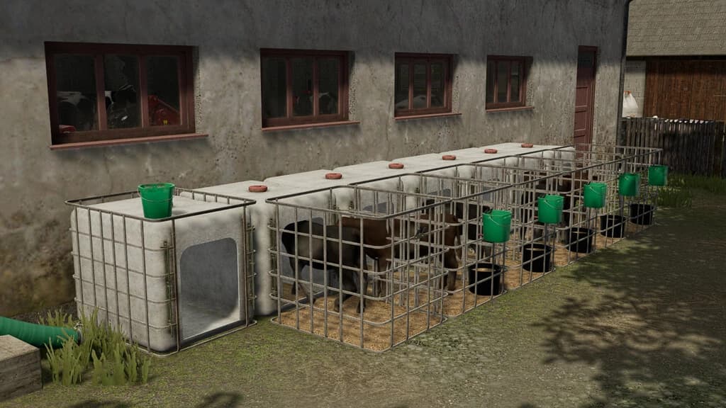 IGLOO FOR CALVES 2