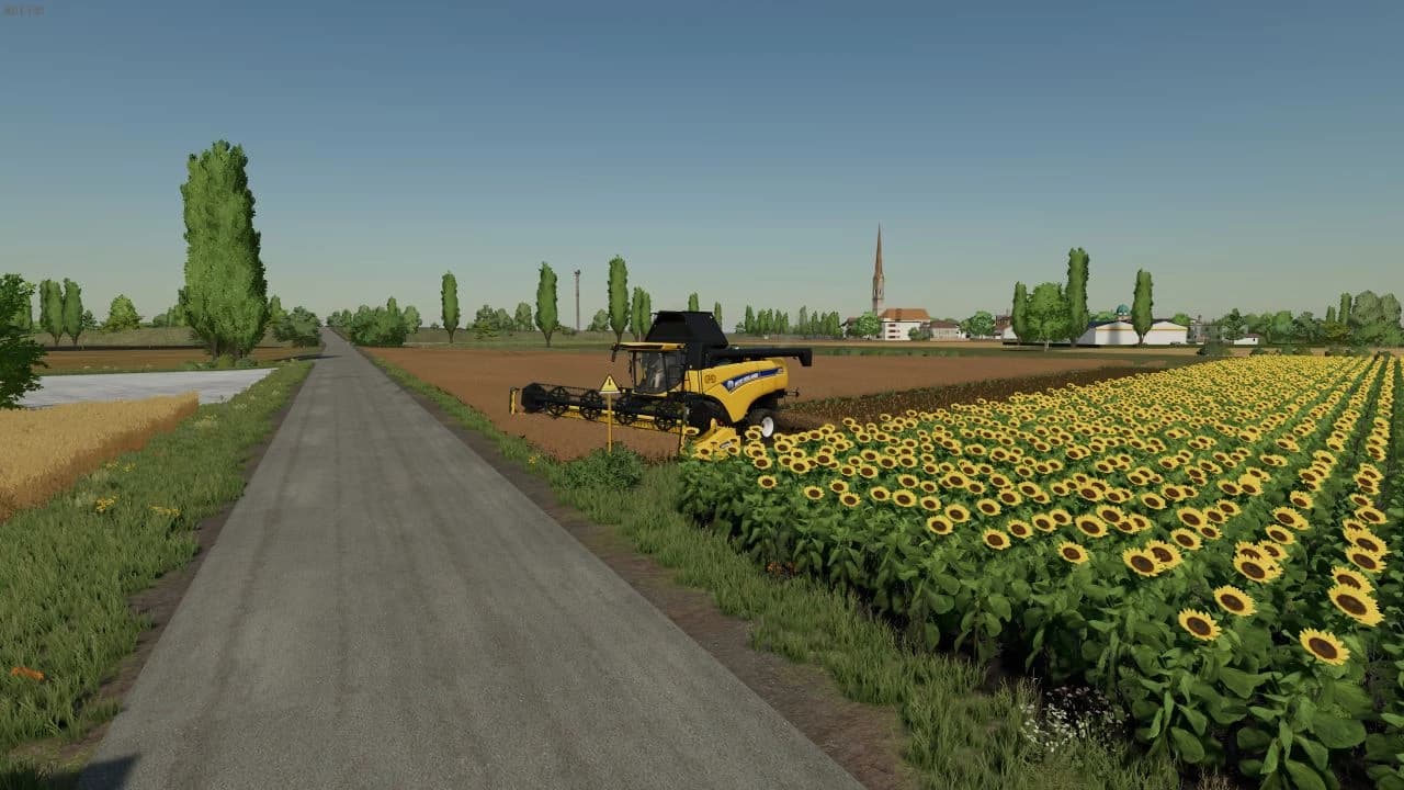 IL POLESINE MAP 5