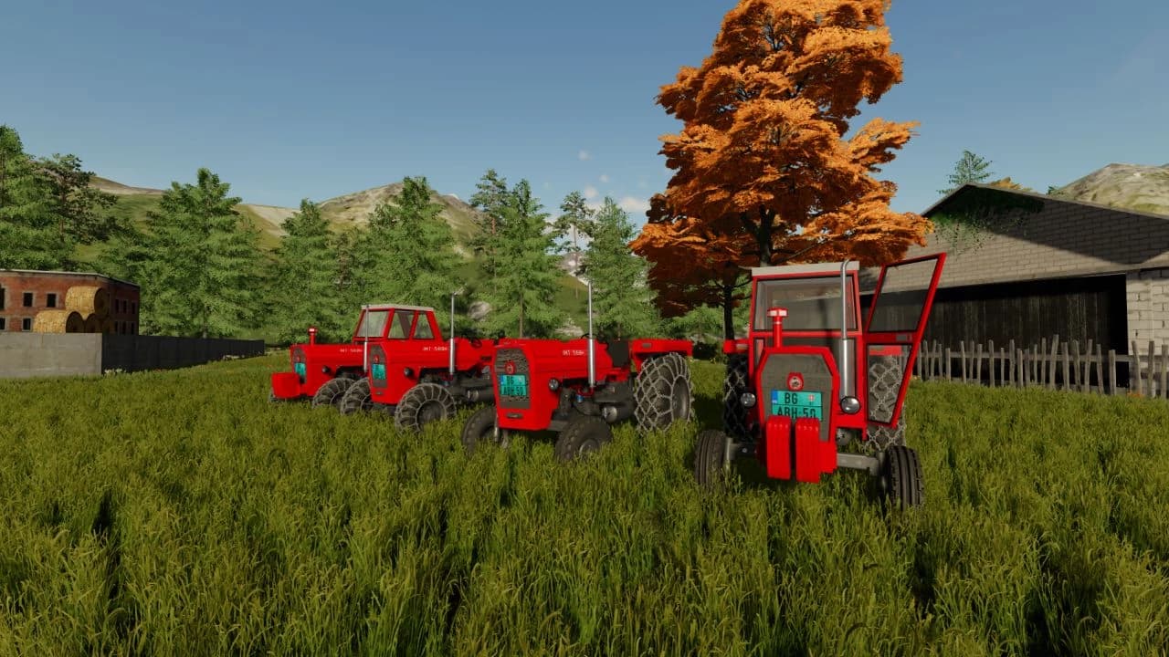 IMT 560 FOREST 2