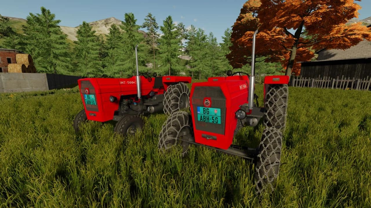 IMT 560 FOREST