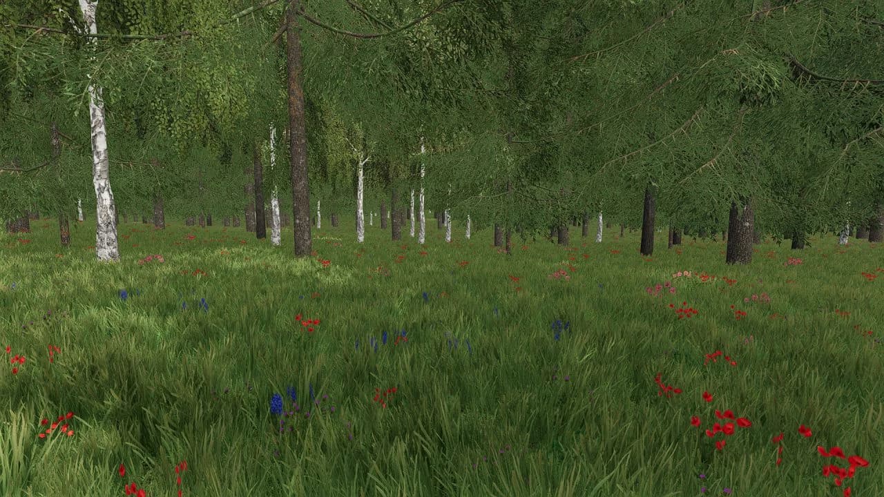 ISLAND LAKE 2