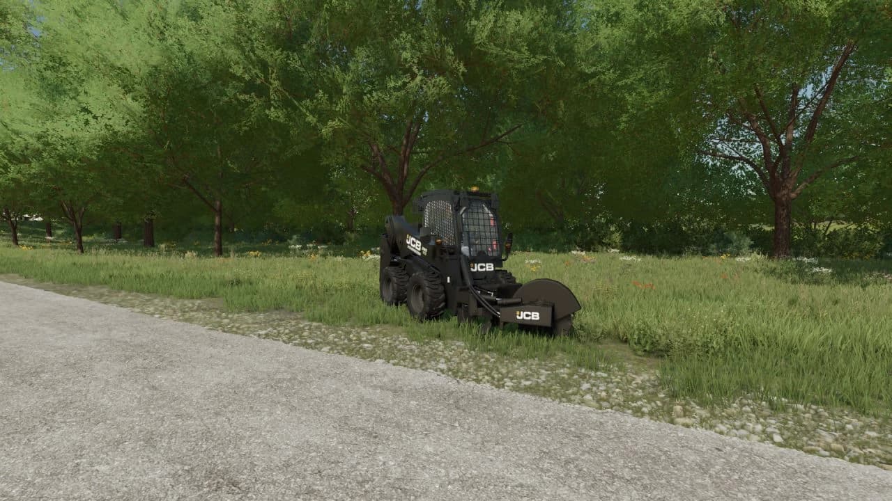 JCB SKID STEER BETA 3