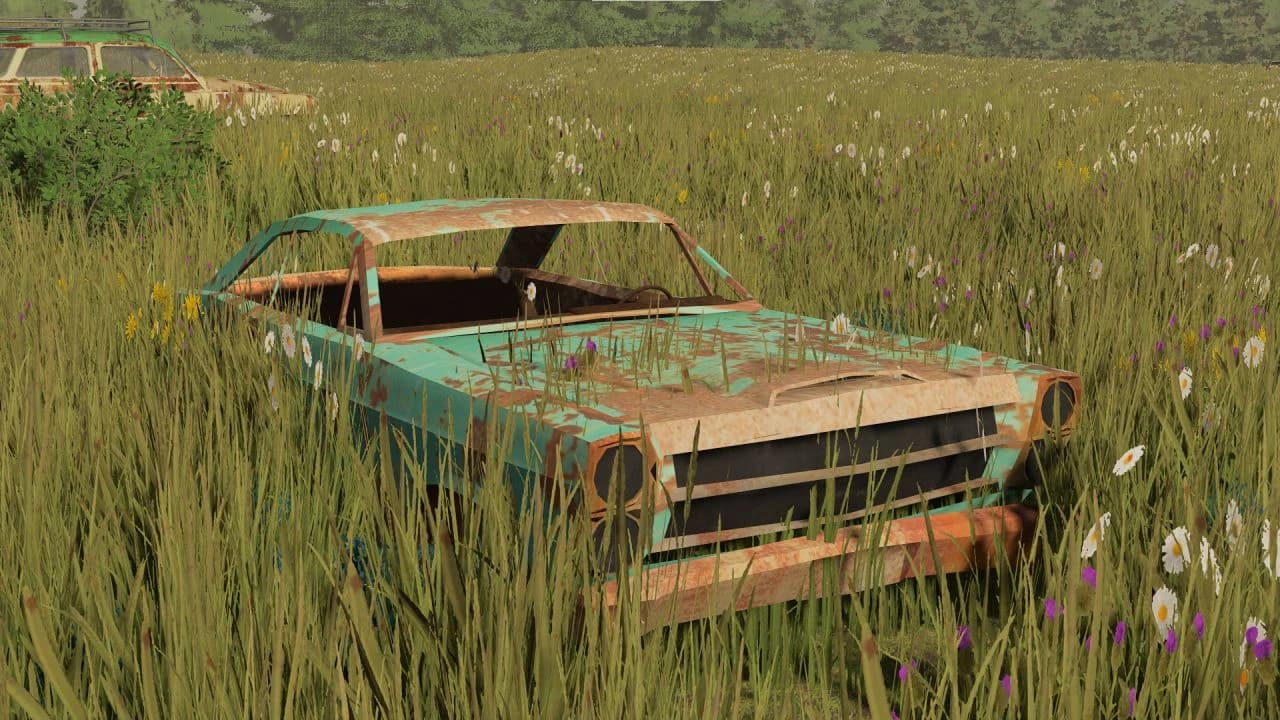 JUNK CAR