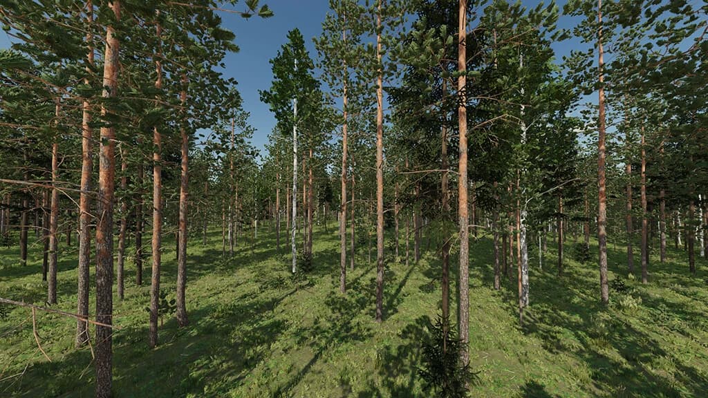 KARHUVAARA TREE PACK (PREFAB) 4