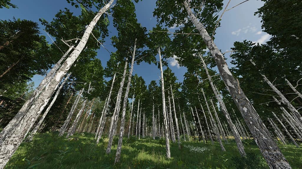 KARHUVAARA TREE PACK (PREFAB) 3
