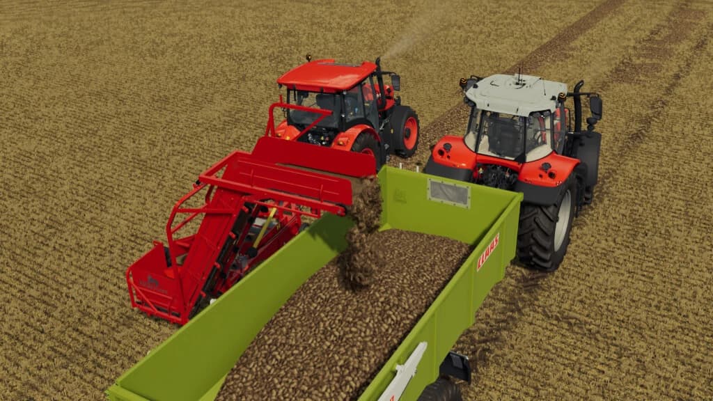 KRUKOWIAK Z437 3
