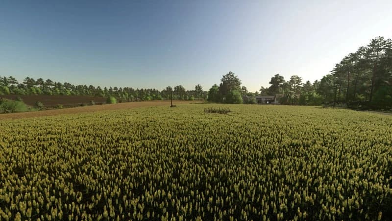 KRUZEWNIKI MAP