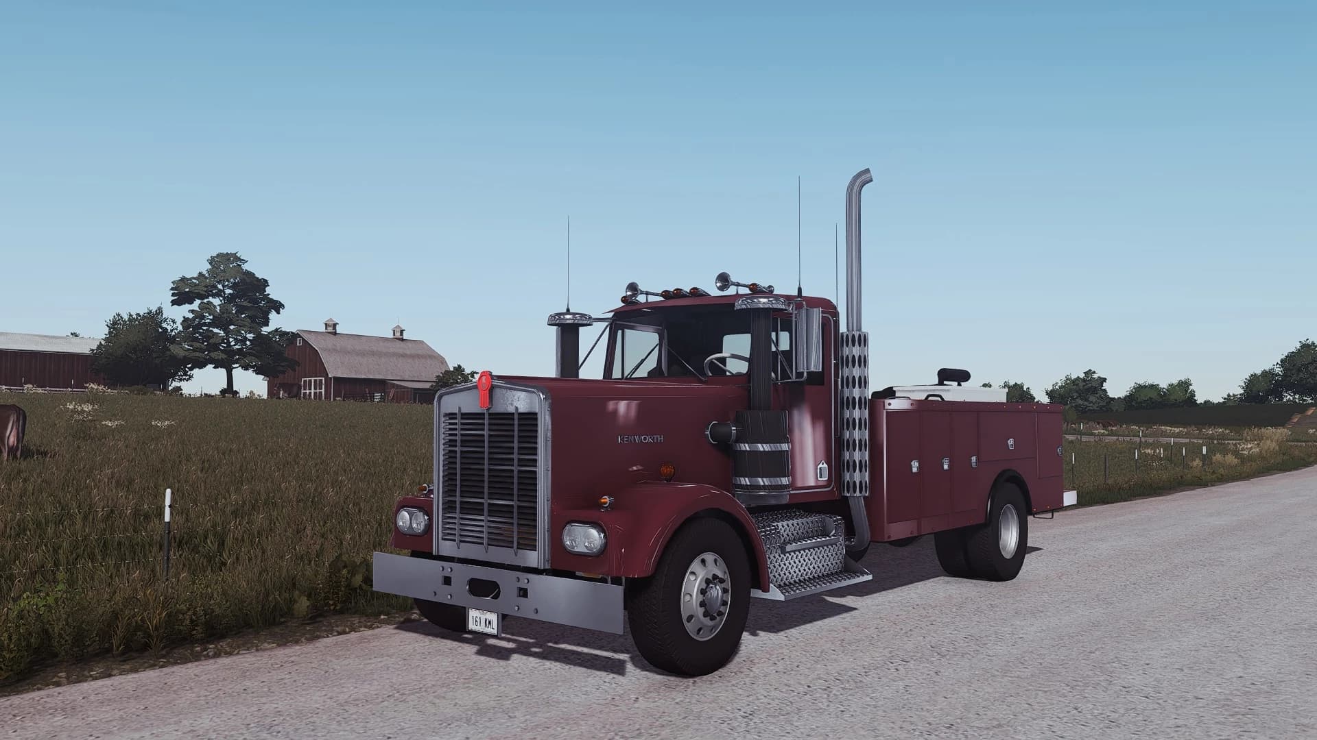Kenworth W900 Service 3