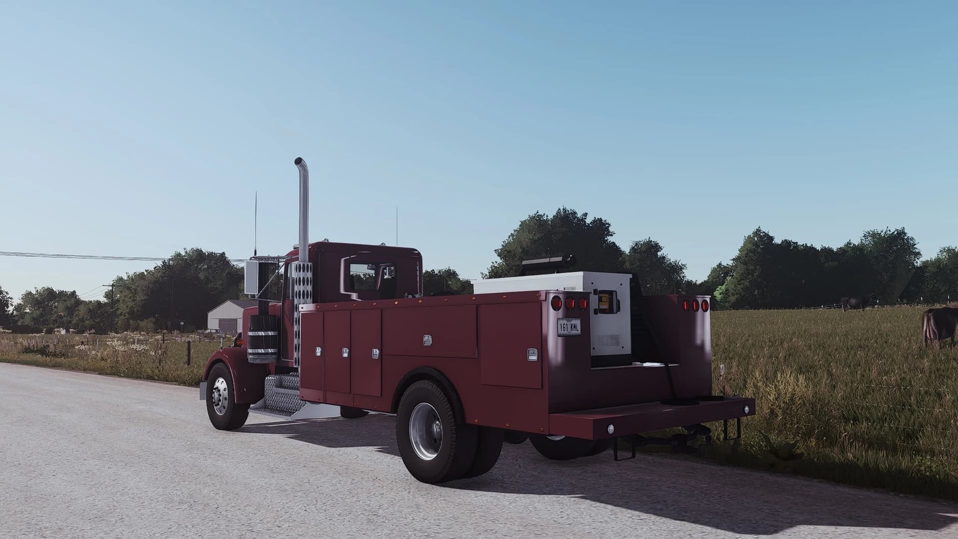 Kenworth W900 Service 2