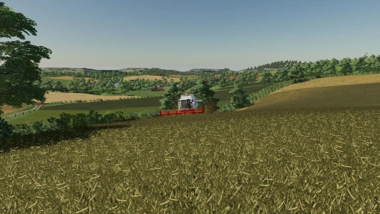 LA FERME LIMOUSINE 3