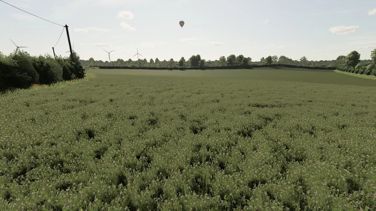 LA PETITE BOURGOGNE 2