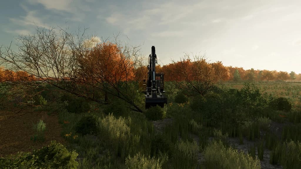 LAND CLEARING 4