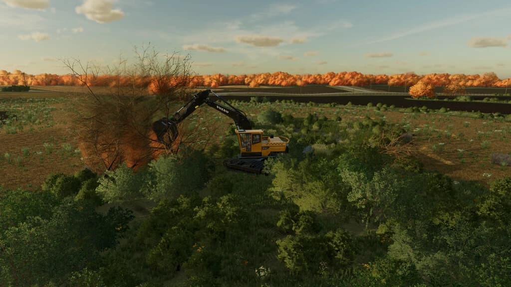 LAND CLEARING 3