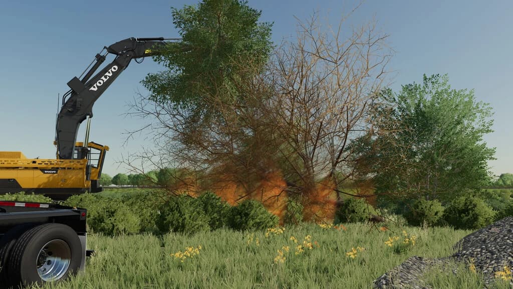 LAND CLEARING 2