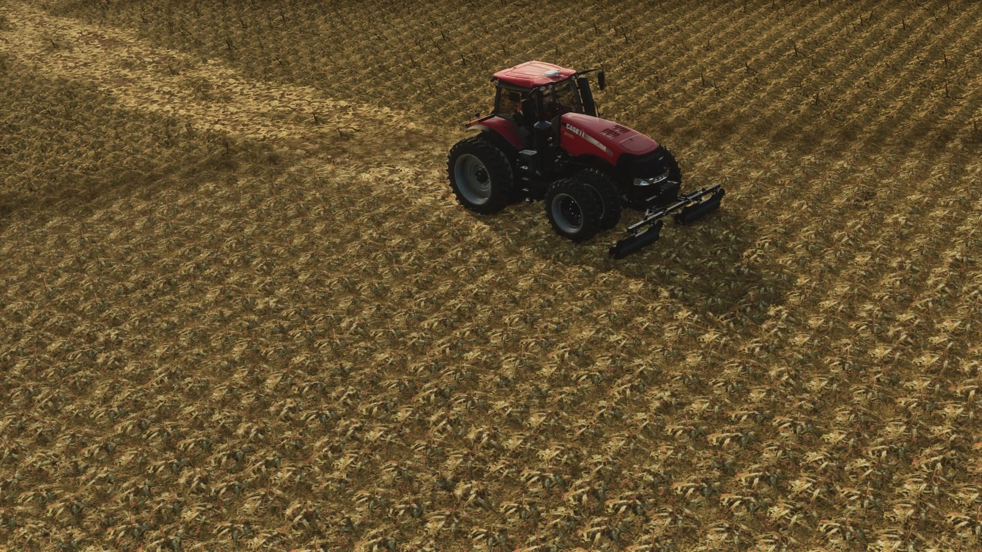 LANKOTA STALK ROLLERS 3