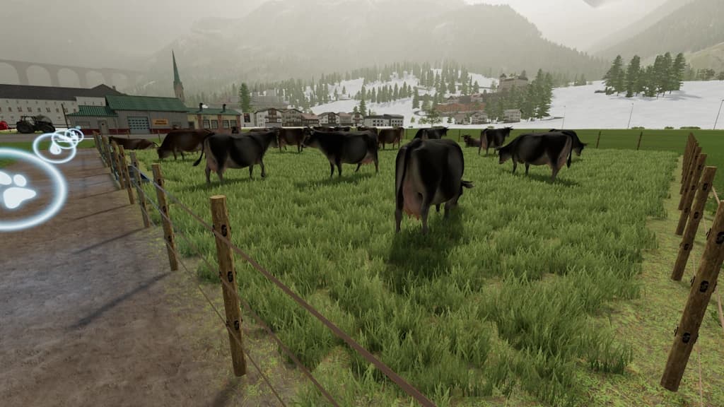 LARGE COW CAPACITY PEN 3