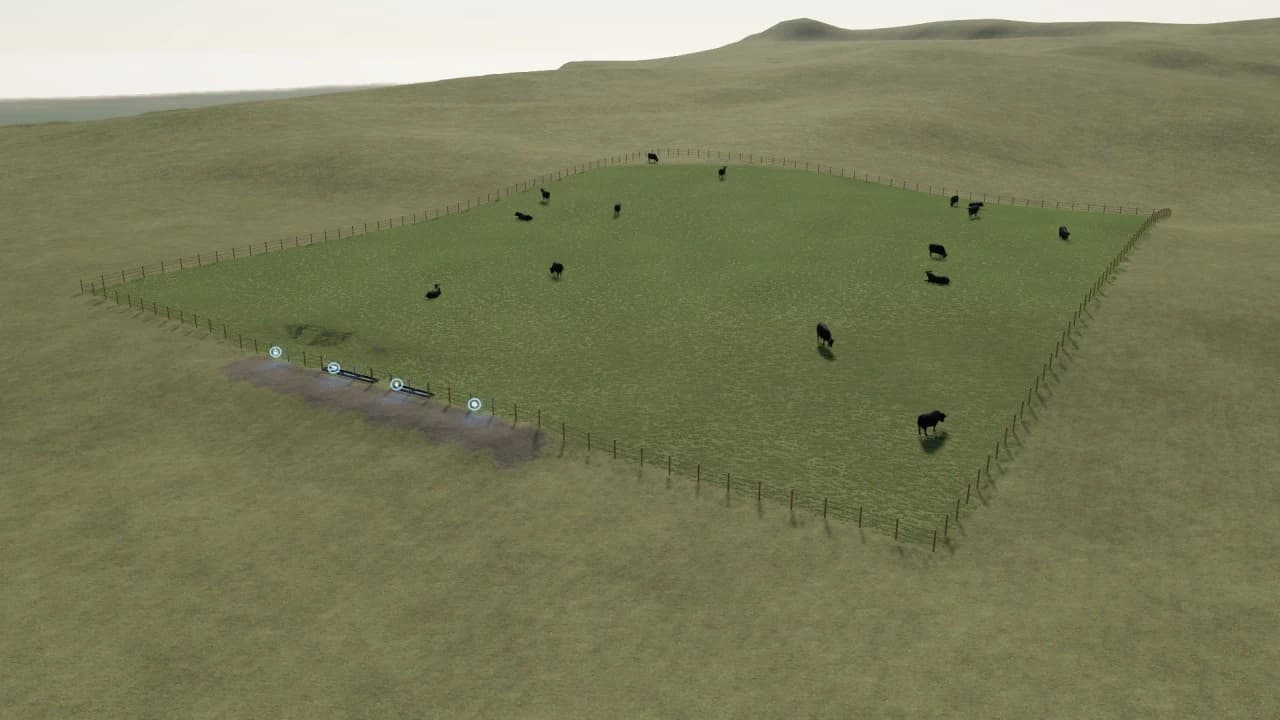 LARGE COW PEN 2