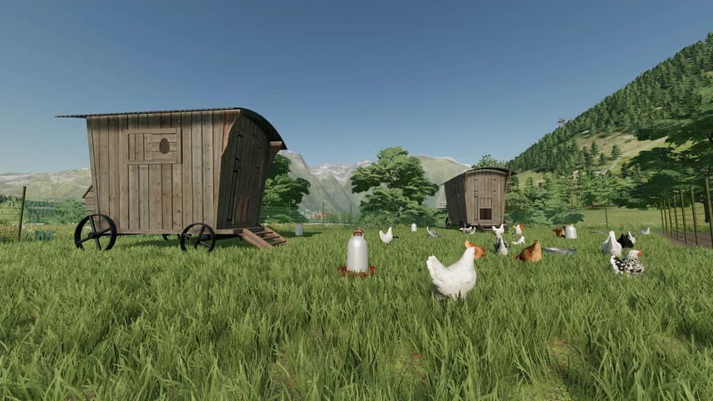 LARGE OUTDOOR CHICKEN COOP 2