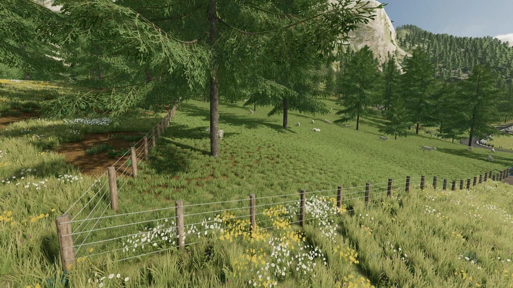 LARGE OUTDOOR SHEEP PASTURE 3