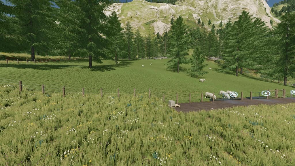LARGE OUTDOOR SHEEP PASTURE 2