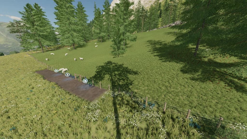 LARGE OUTDOOR SHEEP PASTURE